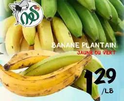 Marche Salaberry BANANE PLANTAIN offer