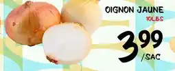 Marche Salaberry OIGNON JAUNE offer
