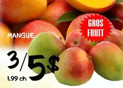 Marche Salaberry MANGUE offer