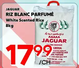 Marche Salaberry JAGUAR RIZ BLANC PARFUMÉ offer