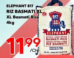 Marche Salaberry RIZ BASMATI XL ELEPHANT 817 offer