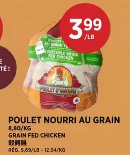 Kim Phat GRAIN FED CHICKEN offer