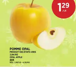 Kim Phat OPAL APPLE offer