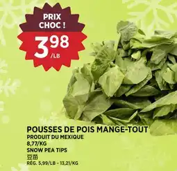 Kim Phat SNOW PEA TIPS offer