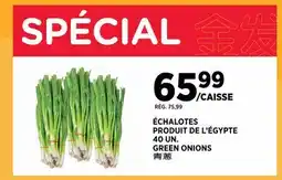 Kim Phat GREEN ONIONS offer
