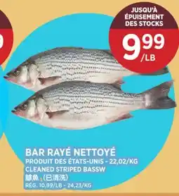 Kim Phat CLEANED STRIPED BASSW offer