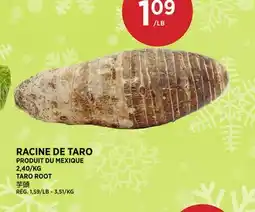 Kim Phat TARO ROOT offer