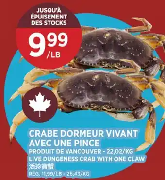 Kim Phat LIVE DUNGENESS CRAB WITH ONE CLAW offer
