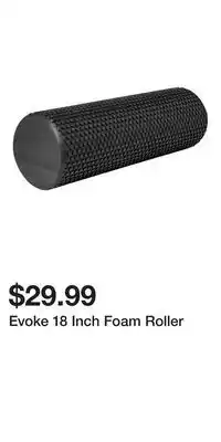 Sport Chek Evoke 18 Inch Foam Roller offer