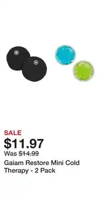 Sport Chek Gaiam Restore Mini Cold Therapy offer