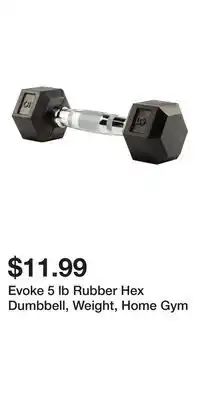 Sport Chek Evoke 5 lb Rubber Hex Dumbbell, Weight, Home Gym offer