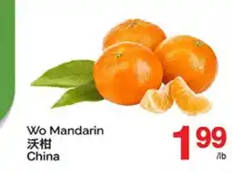 T&T Supermarket WO MANDARIN offer