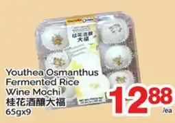 T&T Supermarket YOUTHEA OSMANTHUS FERMENTED RICE WINE MOCHI, 65gx9 offer