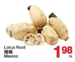 T&T Supermarket LOTUS ROOT offer