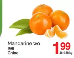 T&T Supermarket MANDARINE WO offer