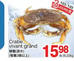 T&T Supermarket CRABE VIVANT GRAND offer