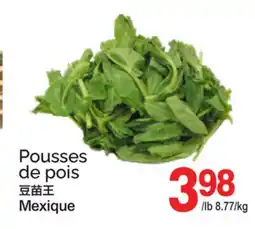 T&T Supermarket POUSSES DE POIS offer