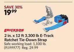 Princess Auto 2 in. x 12 ft3,300 lb E-Track Ratchet Tie-Down Strap offer