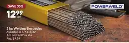 Princess Auto 2 kg Welding Electrodes offer