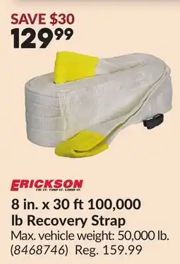 Princess Auto 8 in. x 30 ft100,000 lb Recovery Strap offer