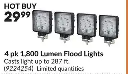 Princess Auto 4 pk 1,800 Lumen Flood Lights offer