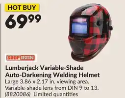Princess Auto Lumberjack Variable-Shade Auto-Darkening Welding Helmet offer