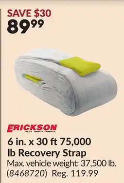 Princess Auto 6 in. x 30 ft75,000 lb Recovery Strap offer