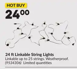Princess Auto 24 ft Linkable String Lights offer