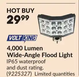 Princess Auto 4,000 Lumen Wide-Angle Flood Light offer