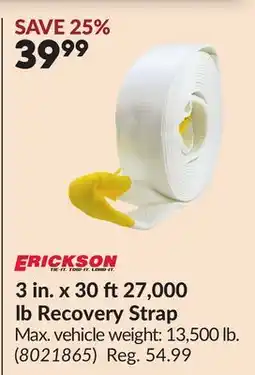 Princess Auto 3 in. x 30 ft 27,000 lb Recovery Strap offer