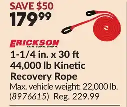 Princess Auto 1-1/4 in. x 30 44,000 lb Kinetic Recovery Rope offer