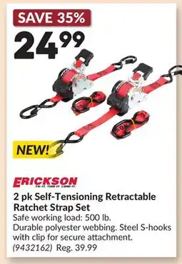 Princess Auto 2 pk Self-Tensioning Retractable Ratchet Strap Set offer