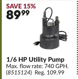 Princess Auto 1/6 HP Utility Pump offer
