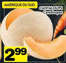Supermarché PA CANTALOUPS | Cantaloupes offer