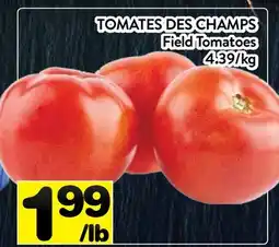 Supermarché PA TOMATES DES CHAMPS | Field Tomatoes offer