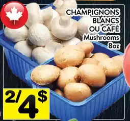 Supermarché PA CHAMPIGNONS BLANCS OU CAFÉ | Mushrooms offer