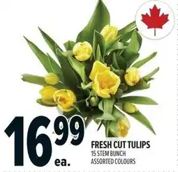Metro Fresh cut tulips offer