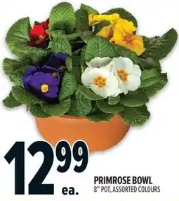 Metro Primrose bowl offer