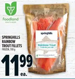Metro Springhills rainbow trout fillets offer