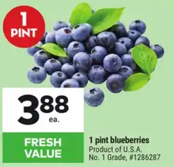 Giant Tiger 1 pint blueberries offer