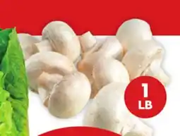 Giant Tiger 1 lb whole white mushrooms offer