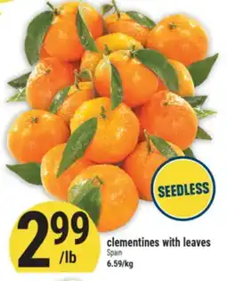 Marché Adonis clementines with leaves offer