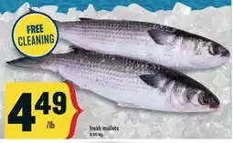 Marché Adonis fresh mullets offer