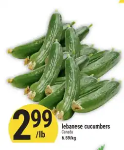 Marché Adonis lebanese cucumbers offer