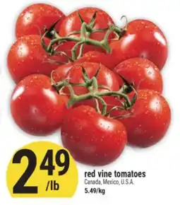 Marché Adonis Red vine tomatoes offer