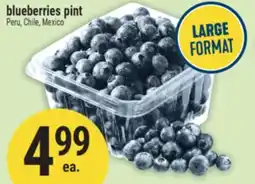 Marché Adonis Blueberries pint offer