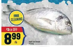 Marché Adonis Royal sea bream offer