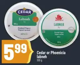 Marché Adonis Cedar or Phoenicia labneh offer
