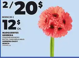 Provigo GERBERA DAISY, BUNCH offer