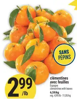 Marché Adonis CLÉMENTINES AVEC FEUILLES | CLEMENTINES WITH LEAVES offer